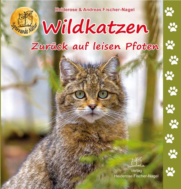 Wildkatzen - Heiderose Fischer-Nagel (Buch)