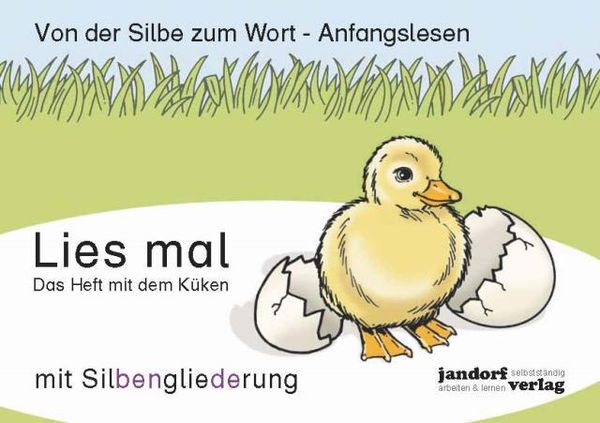 Lies mal - Das Heft mit dem Küken - Jan Debbrecht (Buch)