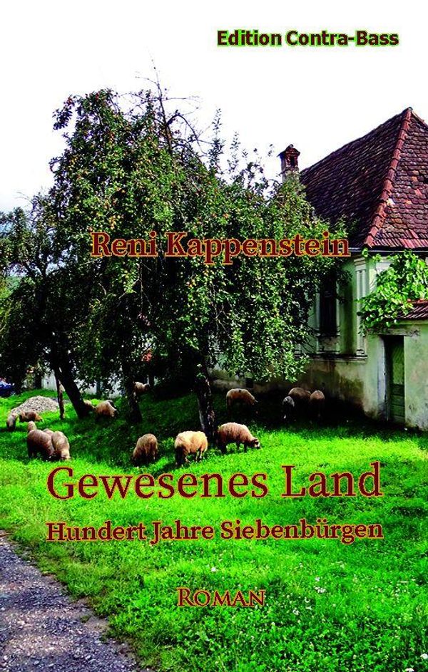 Gewesenes Land - Reni Kappenstein (Buch)