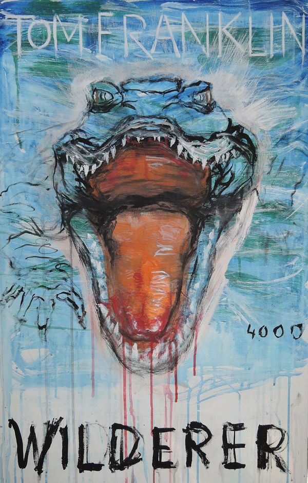 Wilderer - Tom Franklin (Buch)