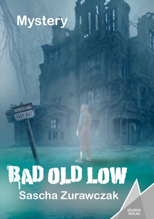 Bad Old Low - Sascha Zurawczak (Buch)