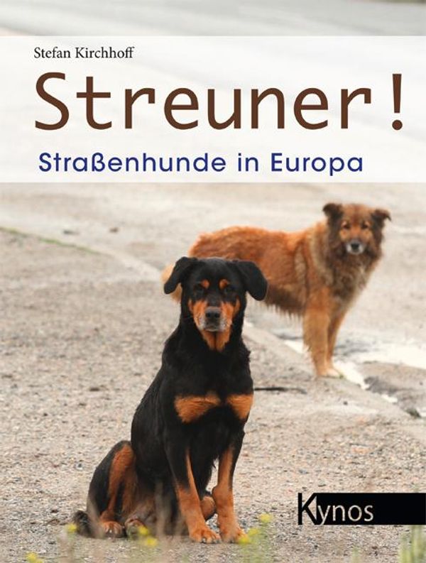 Streuner! - Stefan Kirchhoff (Buch)