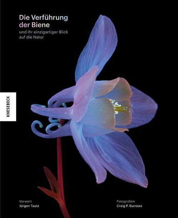 Die Verführung der Biene - Craig P. Burrows (Buch)