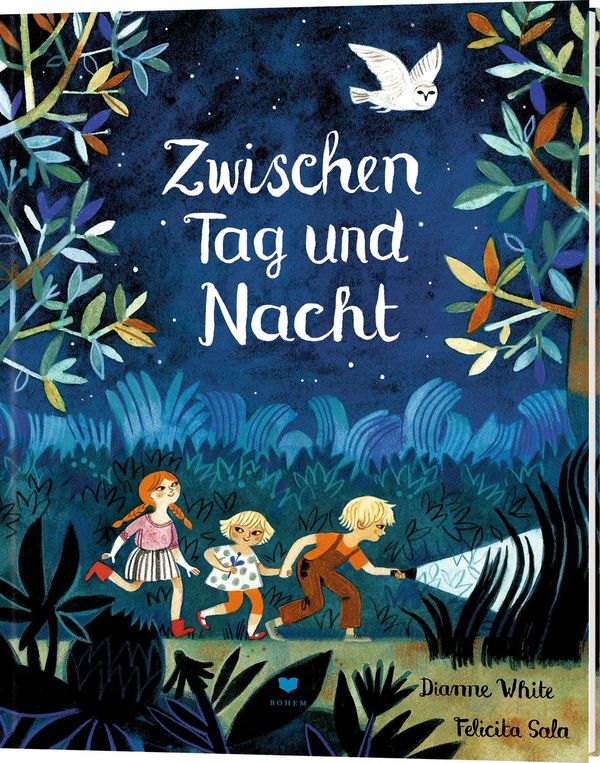 Zwischen Tag und Nacht - Dianne White (Buch)
