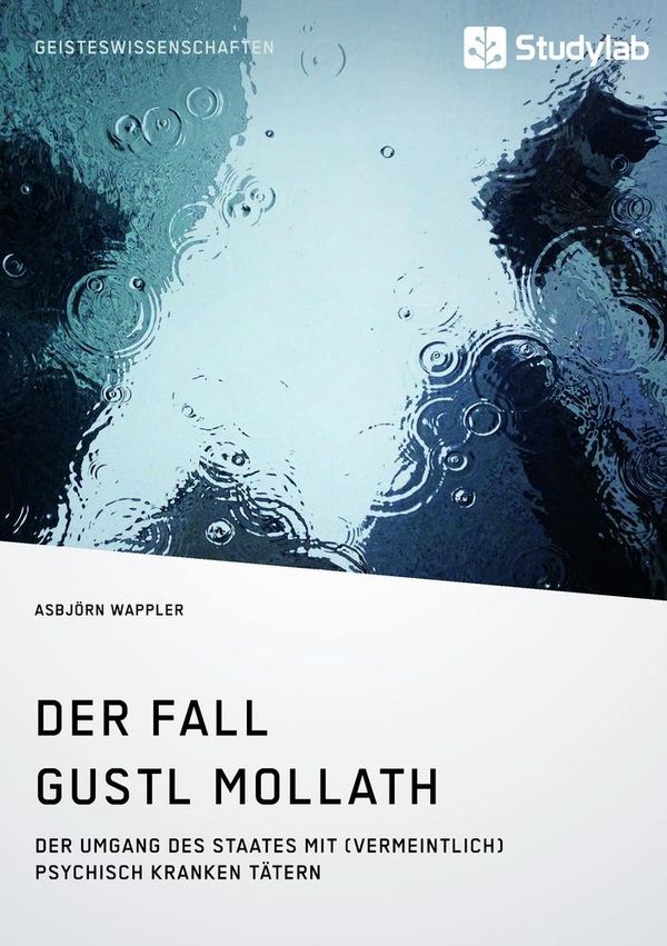 Der Fall Gustl Mollath. Der Umgang des Staates mit (vermeintlich) p...