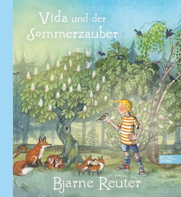 Vida und der Sommerzauber - Bjarne Reuter (Buch)