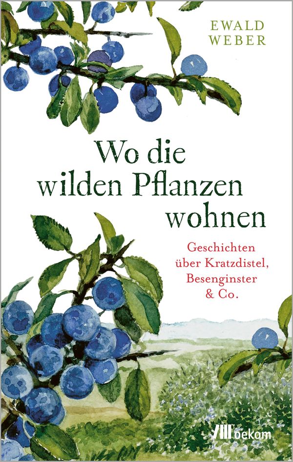 Wo die wilden Pflanzen wohnen - Ewald Weber (Buch)