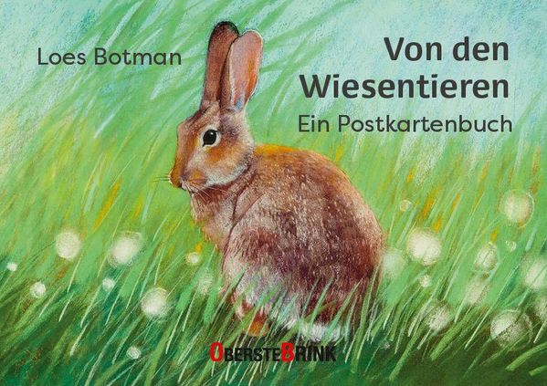 Von den Wiesentieren - Ein Postkartenbuch - Loes Botman (Buch)
