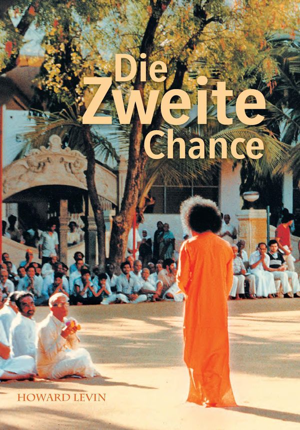 Die Zweite Chance - Howard Levin (Buch)