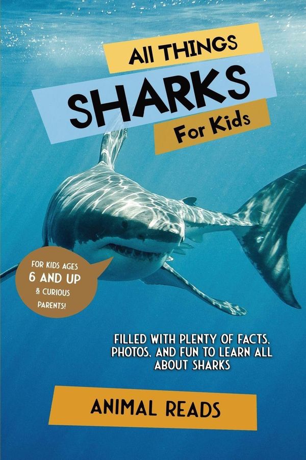 All Things Sharks For Kids - Animal Reads (Buch)