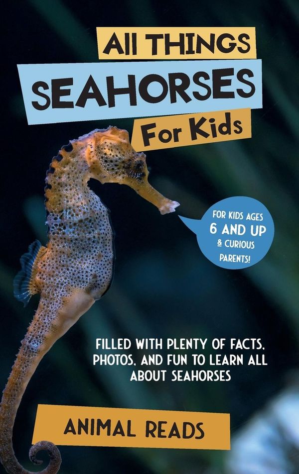 All Things Seahorses For Kids - Animal Reads (Buch)