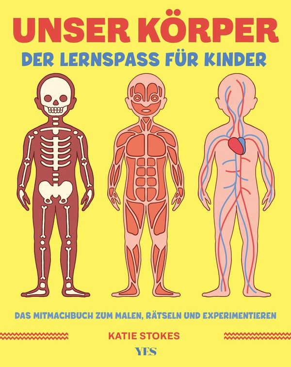 Unser Körper - Katie Stokes (Buch)
