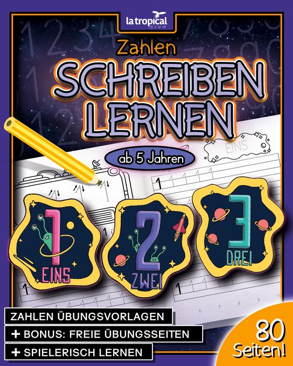 Zahlen schreiben lernen ab 5 Jahren - David Ludwig (Buch)