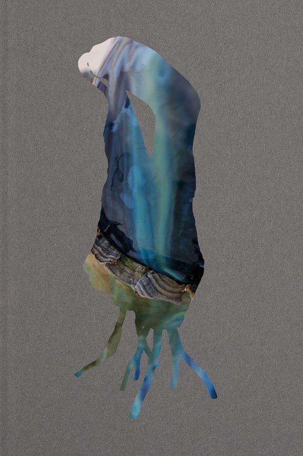 Sebastian Stöhrer - Bewohner - Daniel Birnbaum (Buch)