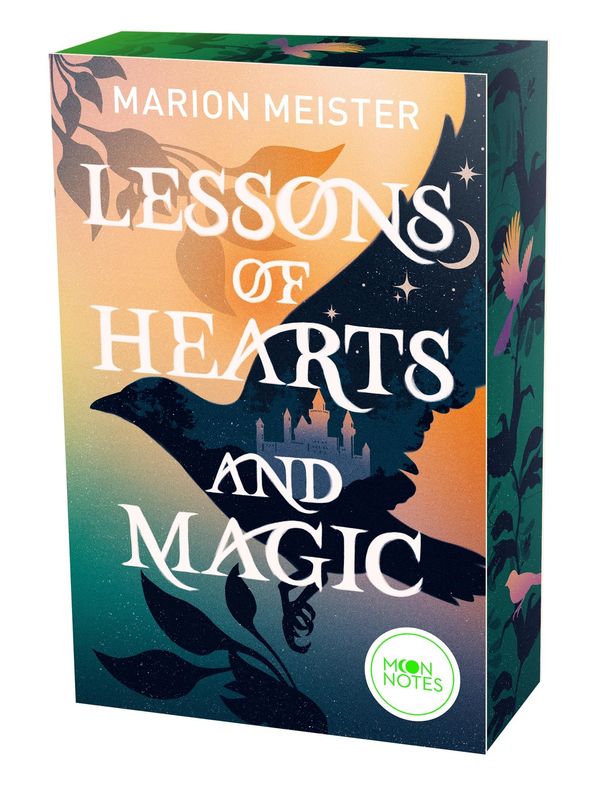 Lessons of Hearts and Magic - Marion Meister (Buch)