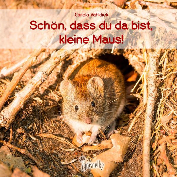 Schön, dass du da bist, kleine Maus! - Carola Vahldiek (Buch)