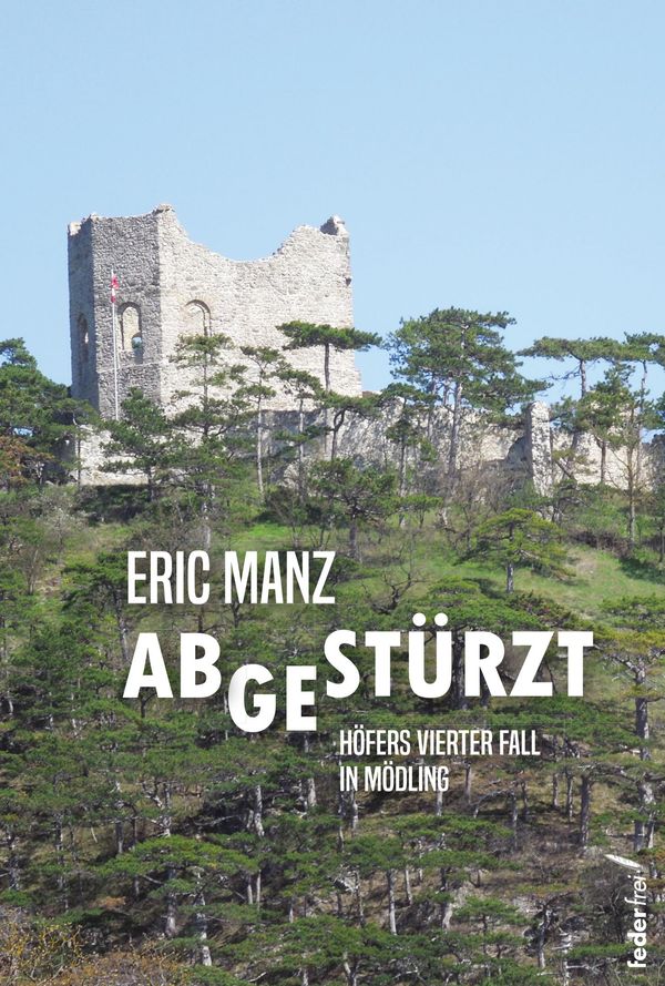 Abgestürzt - Eric Manz (Buch)