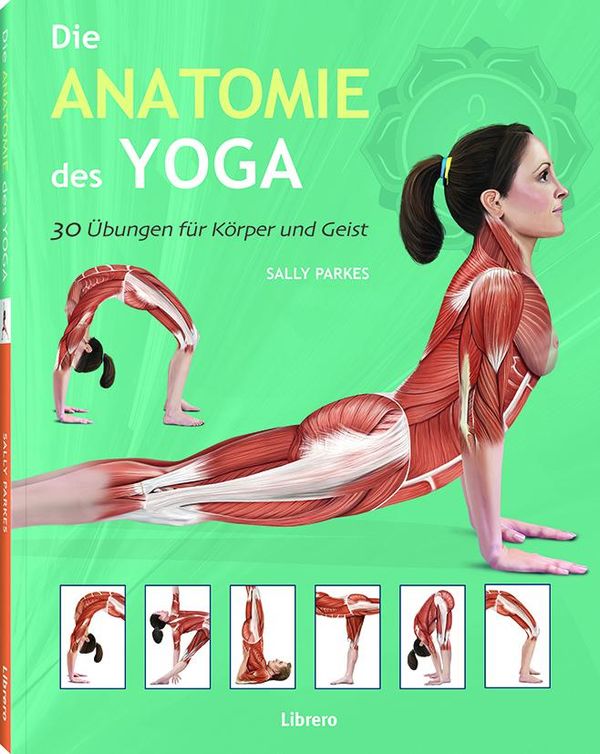 Die Anatomie des Yoga - Sally Parkes (Buch)