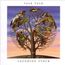 Laughing Stock (180g)