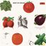 Best Of Cream (180g) (Limited Edition)