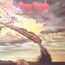 Stormbringer (remastered) (180g)