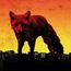 The Day Is My Enemy (Explicit)