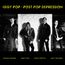Post Pop Depression (180g) (Limited Deluxe Edition)