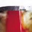 The Fragile (remastered) (180g) (Limited Edition)