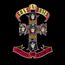 Appetite For Destruction (Explicit) (Re-Release 2018)