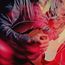 Kill For Love (5 Year Anniversary) (180g) (Clear Flamingo Pink Vinyl)