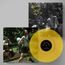 My Boy (Limited Edition) (Lemon Yellow Vinyl) (+ signiertem Artprint, exklusiv bei jpc!)