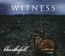 Witness