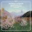 Symphonien Nr.3 & 4