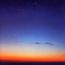Flying Saucer Attack
