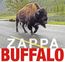 Buffalo (Live At Buffalo Memorial Auditorium 1980)