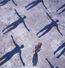 Absolution (remastered) (180g) (Limited Edition)