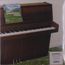 The Sophtware Slump ..... On A Wooden Piano (Cloudy Clear Vinyl)