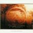 Selected Ambient Works II 1985-1992