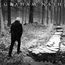 This Path Tonight (Limited Deluxe Edition)