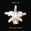 Aha Shake Heartbreak (180g)