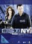 CSI New York Season 6 Box 2