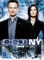 CSI New York Season 8 Box 1