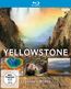 Yellowstone (Blu-ray)