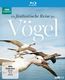 Die fantastische Reise der Vögel (Blu-ray)