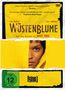 Wüstenblume