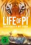 Life Of Pi