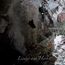 Lieder aus Herbst