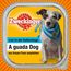 A guada Dog: Live in der Kulturetage