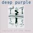 Rapture Of The Deep