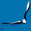 Soaring (High-Quality Analog Remastering)
